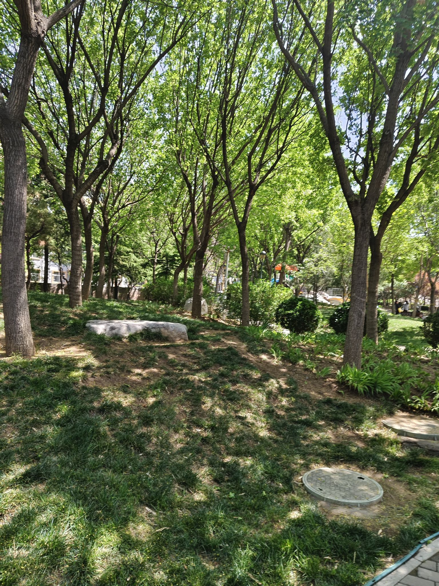 徐家儿童公园旅行图片 3