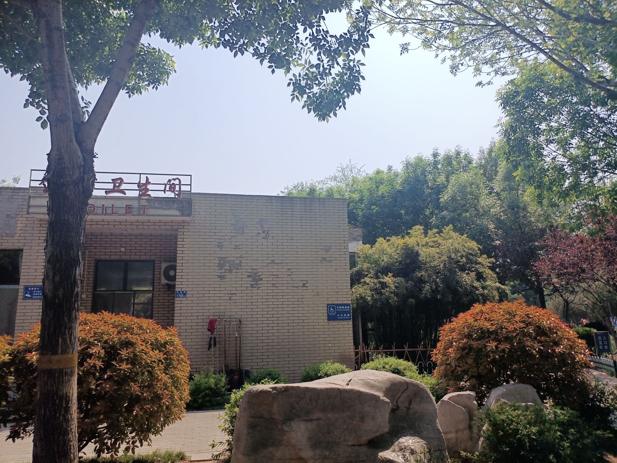 徐家儿童公园旅行图片 3