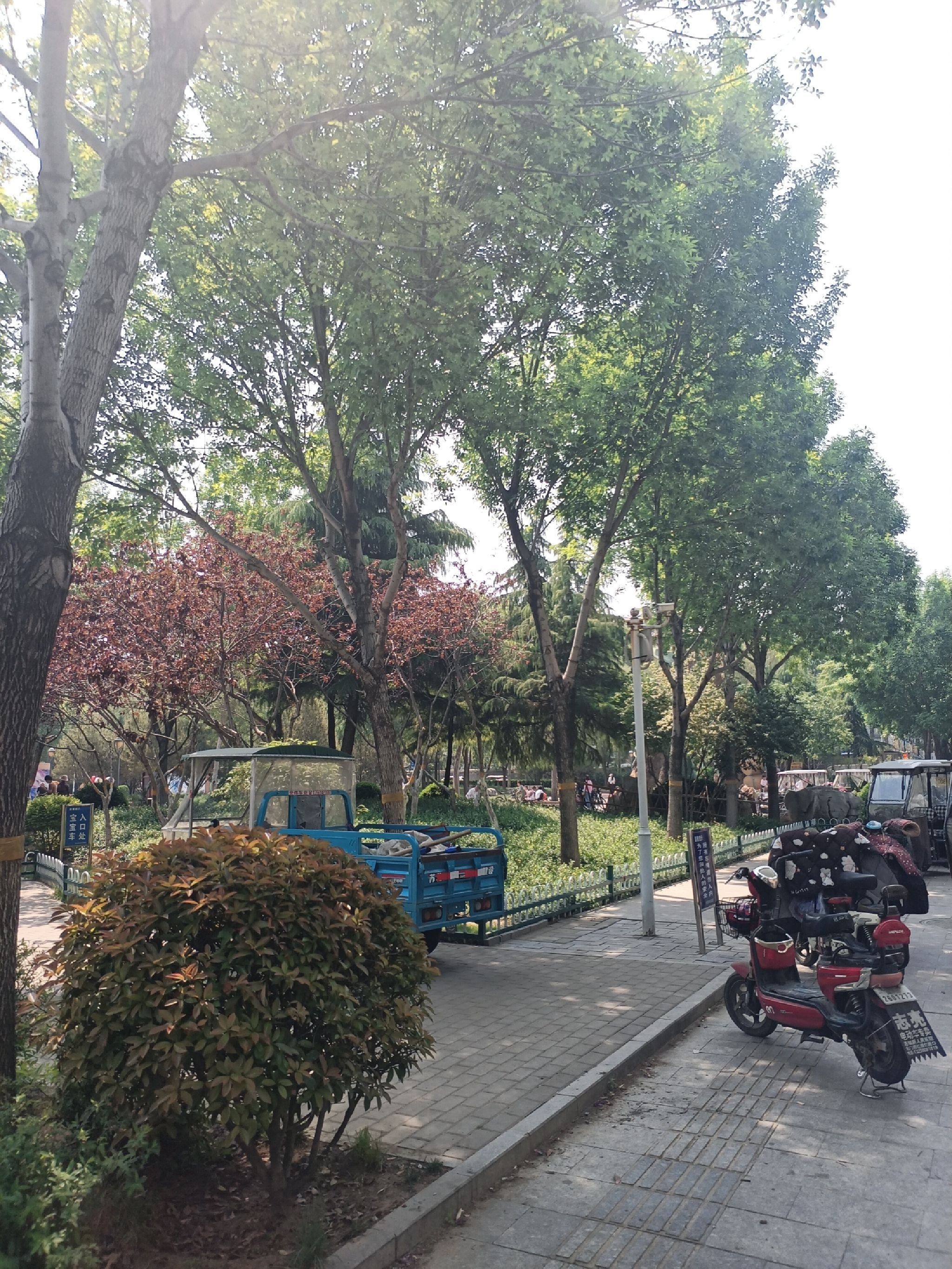 徐家儿童公园旅行图片 1
