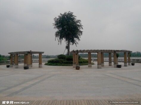 虞城人民公园旅行图片 1