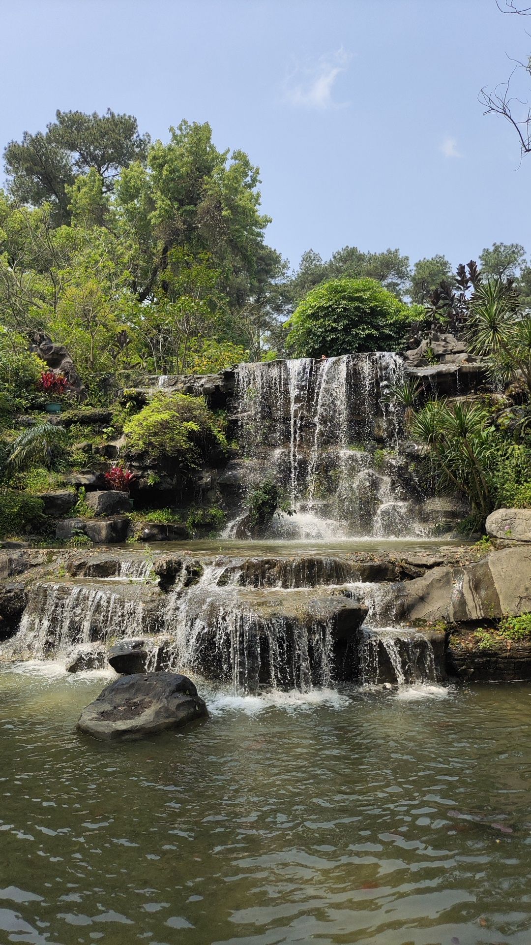 桂林植物园旅行图片 1