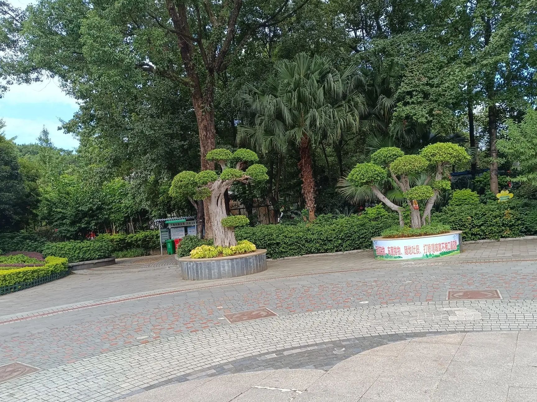 桂林植物园旅行图片 2
