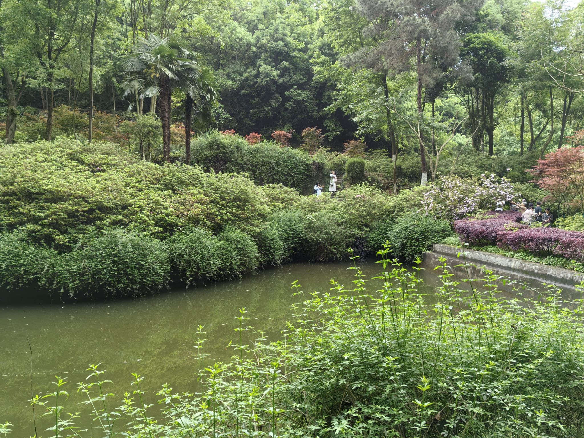 桂林植物园旅行图片 2