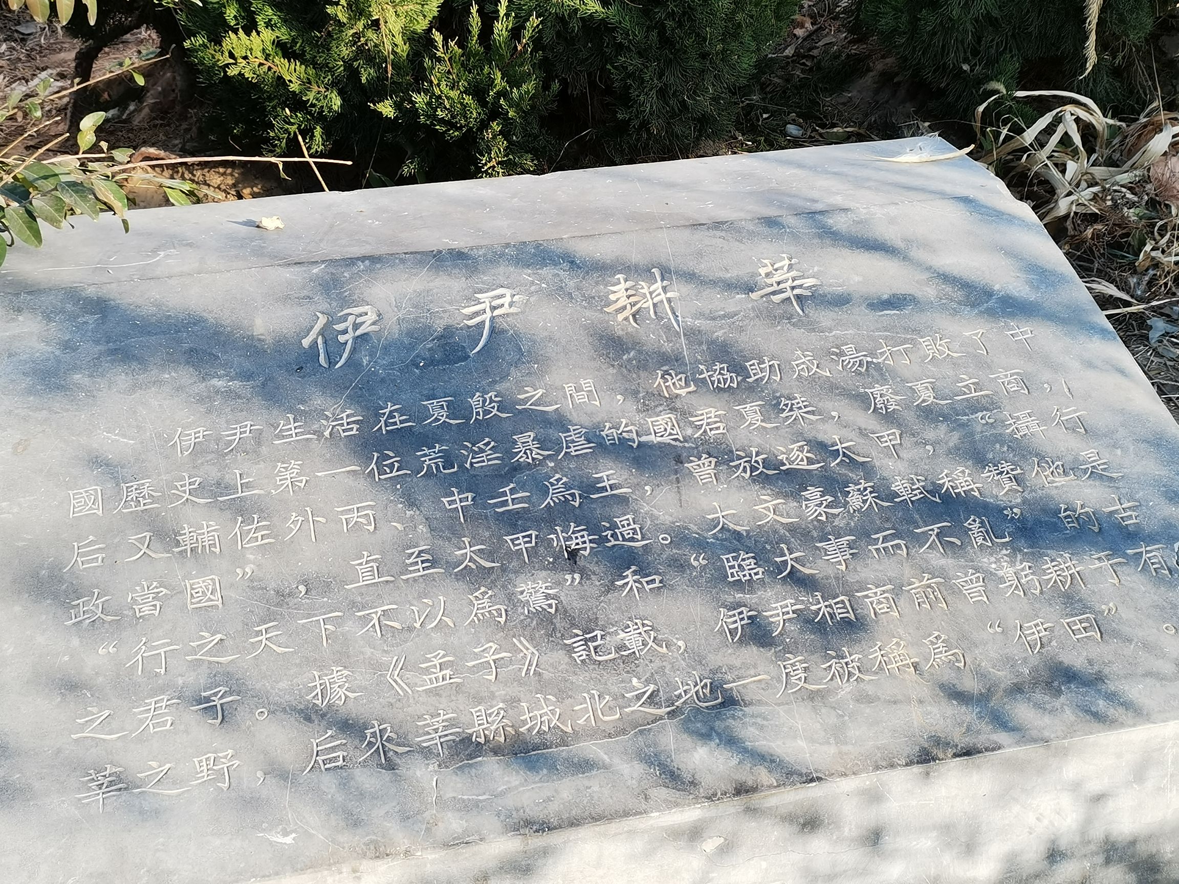 燕塔公园旅行图片 3