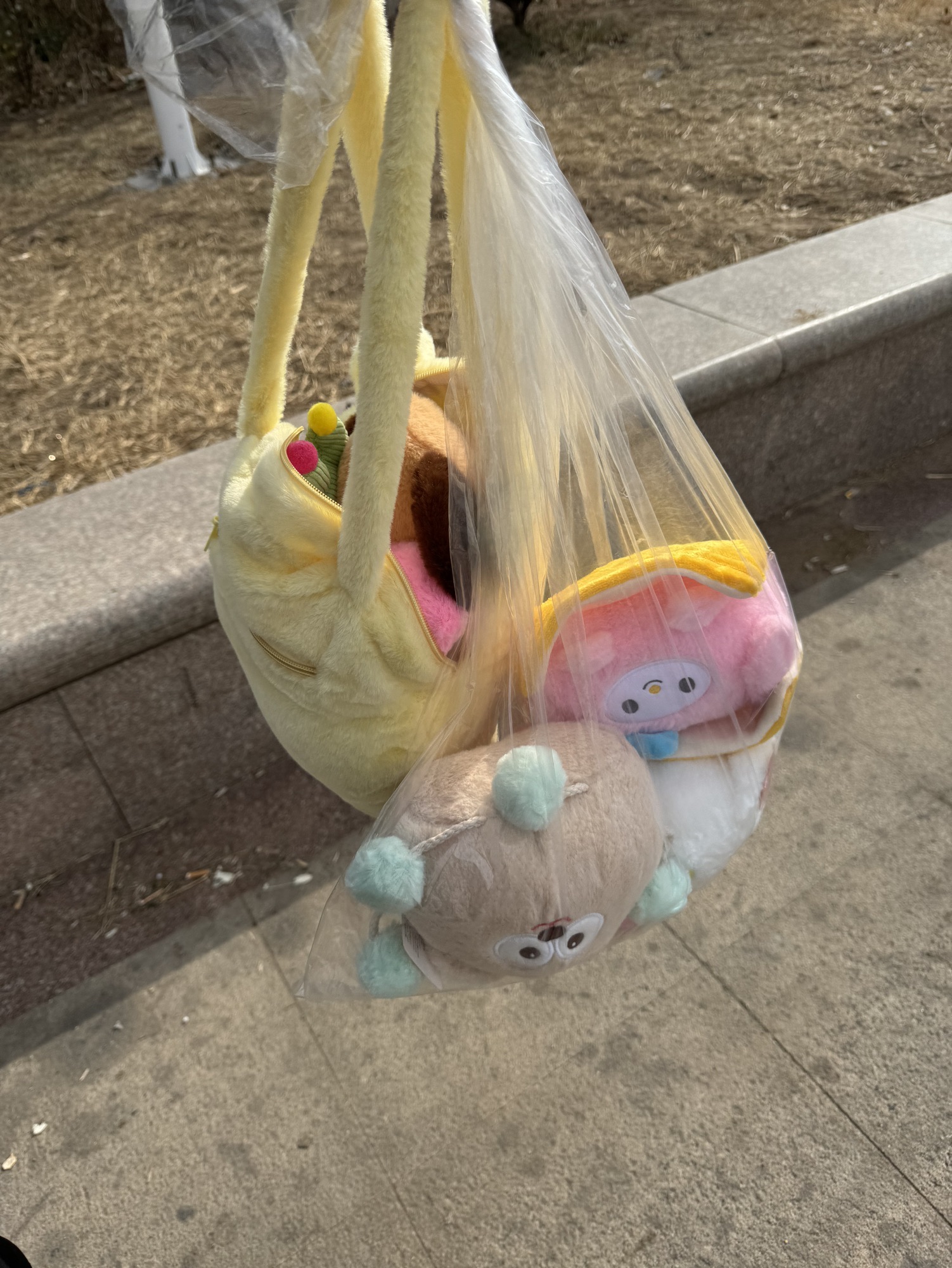 燕塔公园旅行图片 2