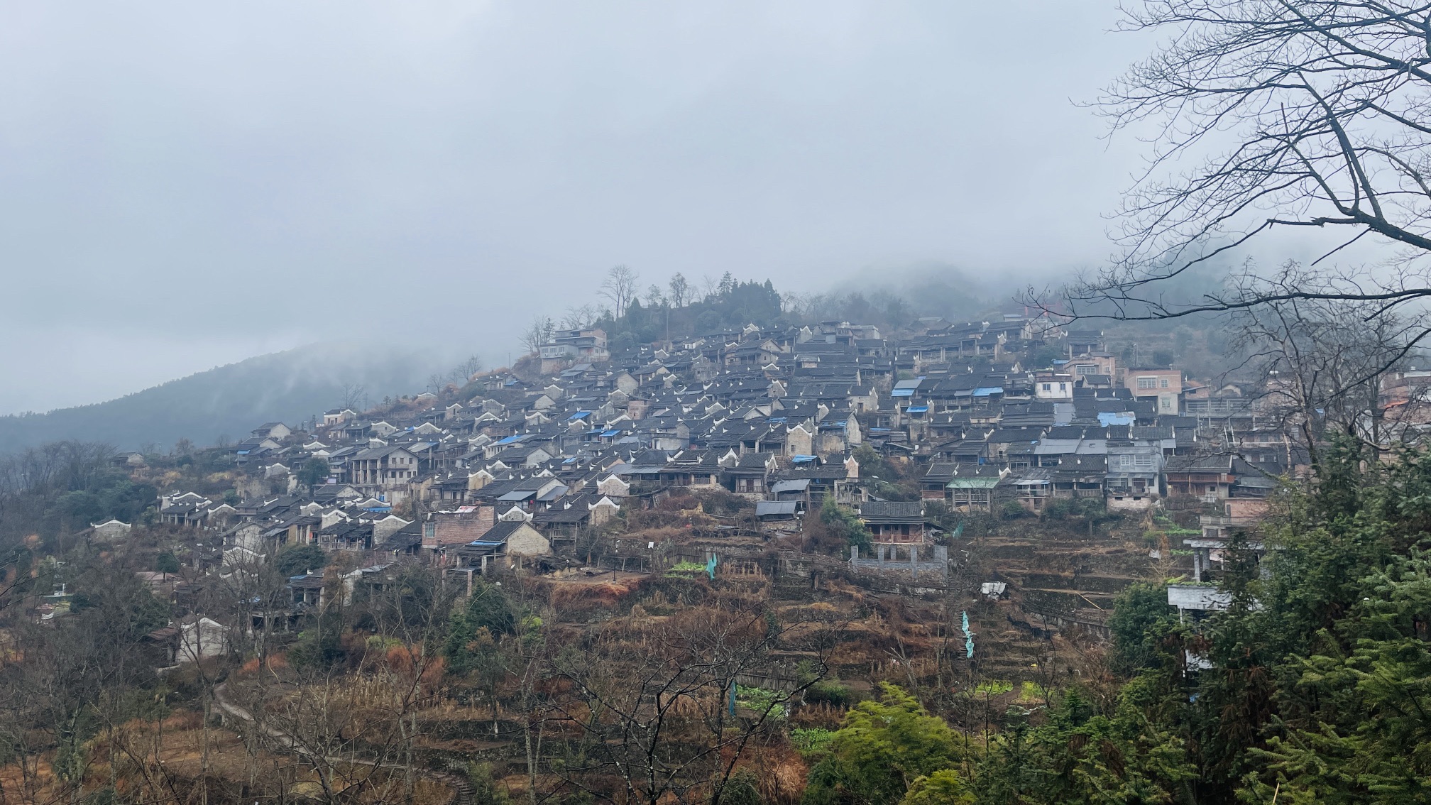 油岭瑶寨旅行图片 1