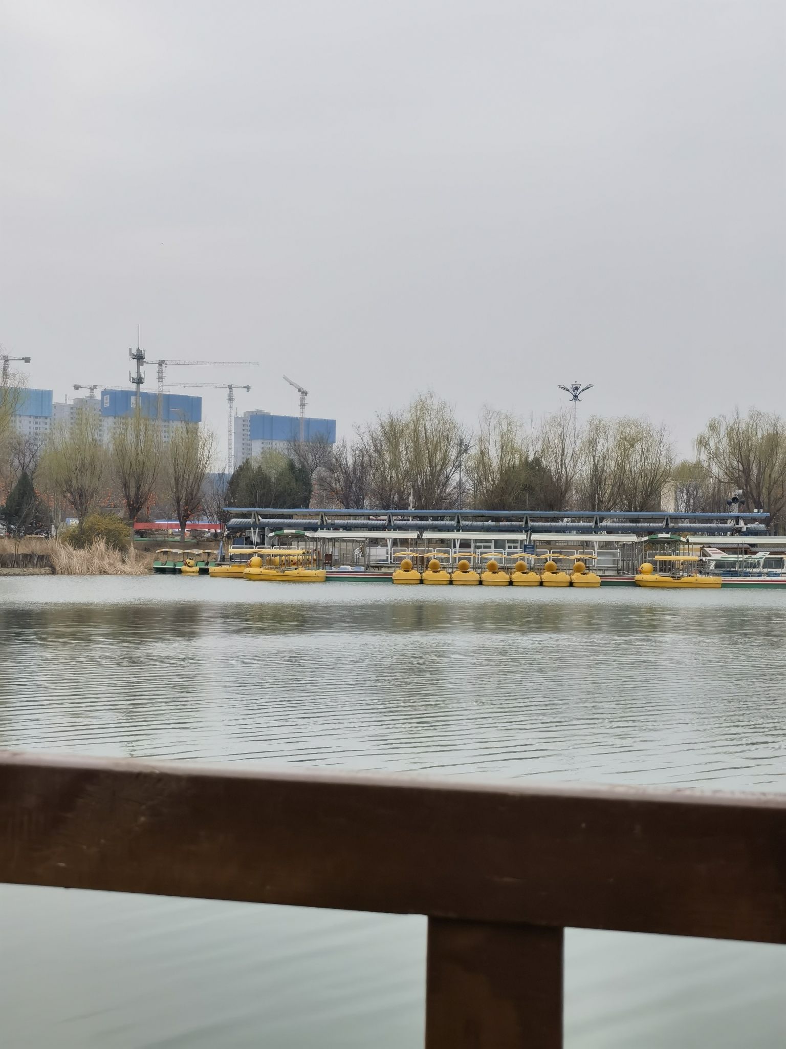 青龙湖公园旅行图片 3