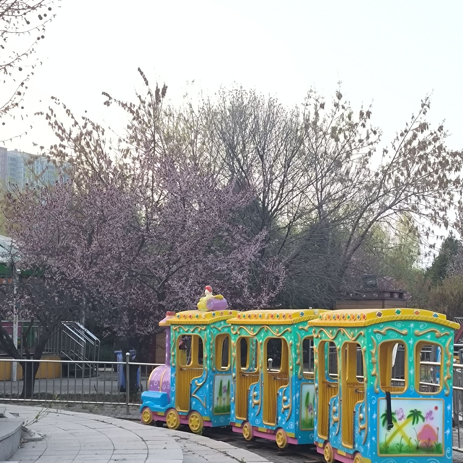 青龙湖公园旅行图片 2