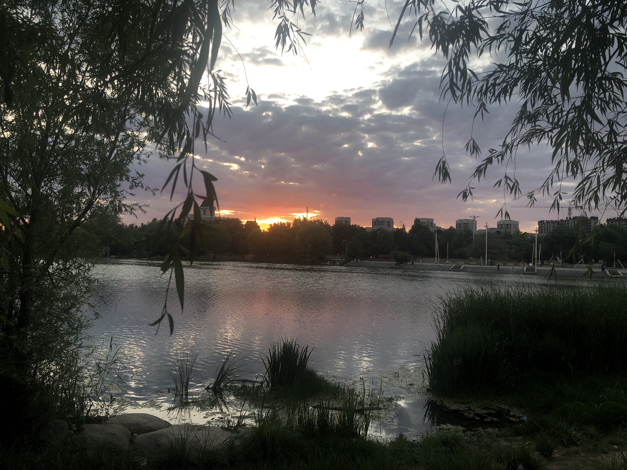 青龙湖公园旅行图片 2