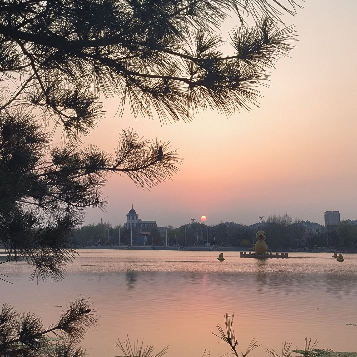 青龙湖公园旅行图片 1