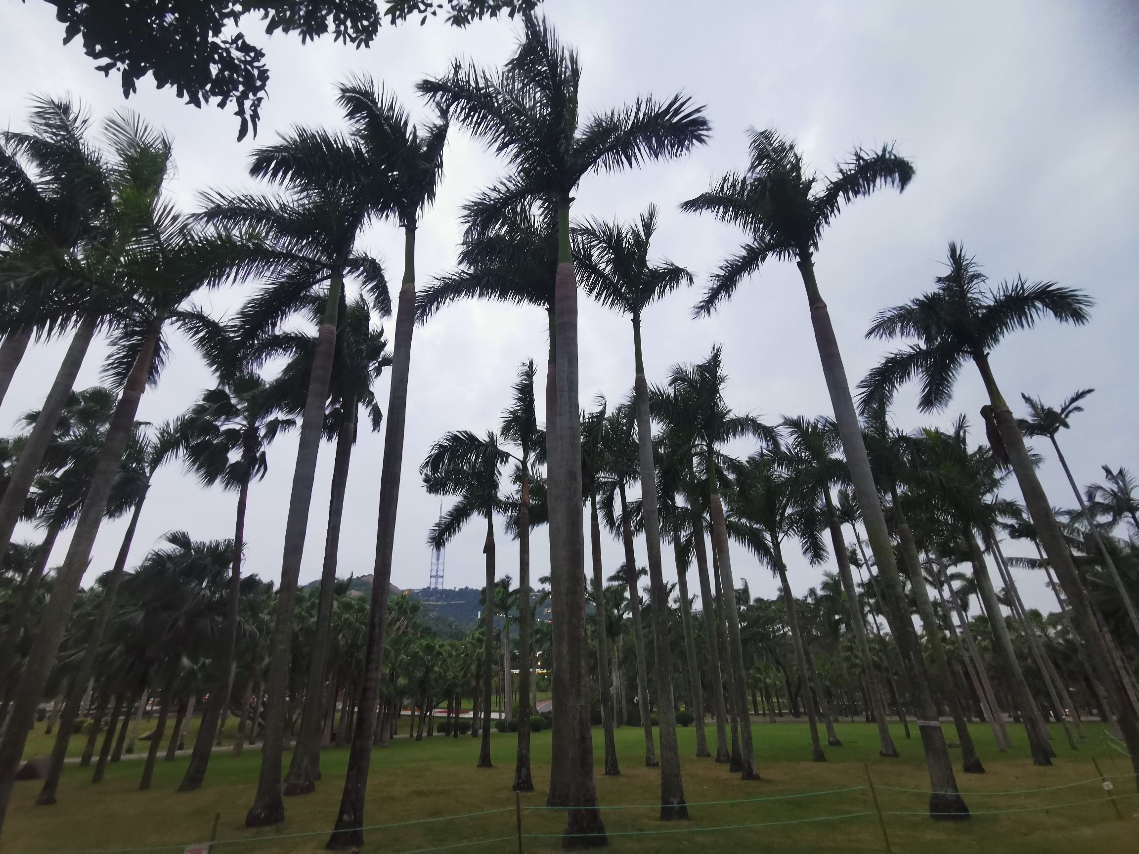海天公园旅行图片 1