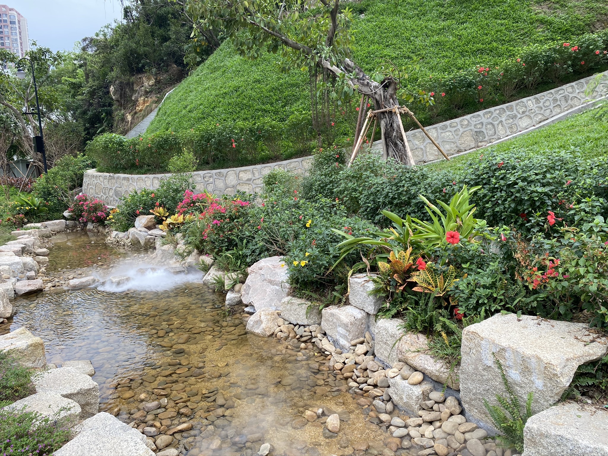 海天公园旅行图片 2