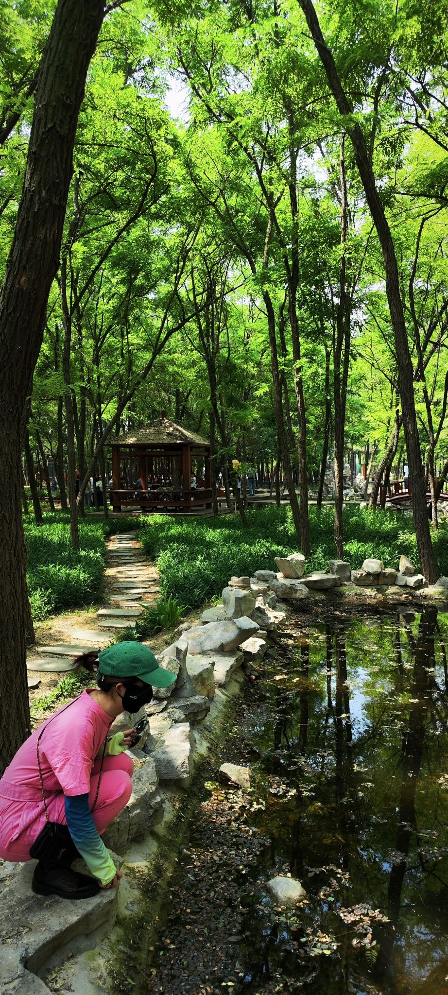 打渔张森林公园旅行图片 2