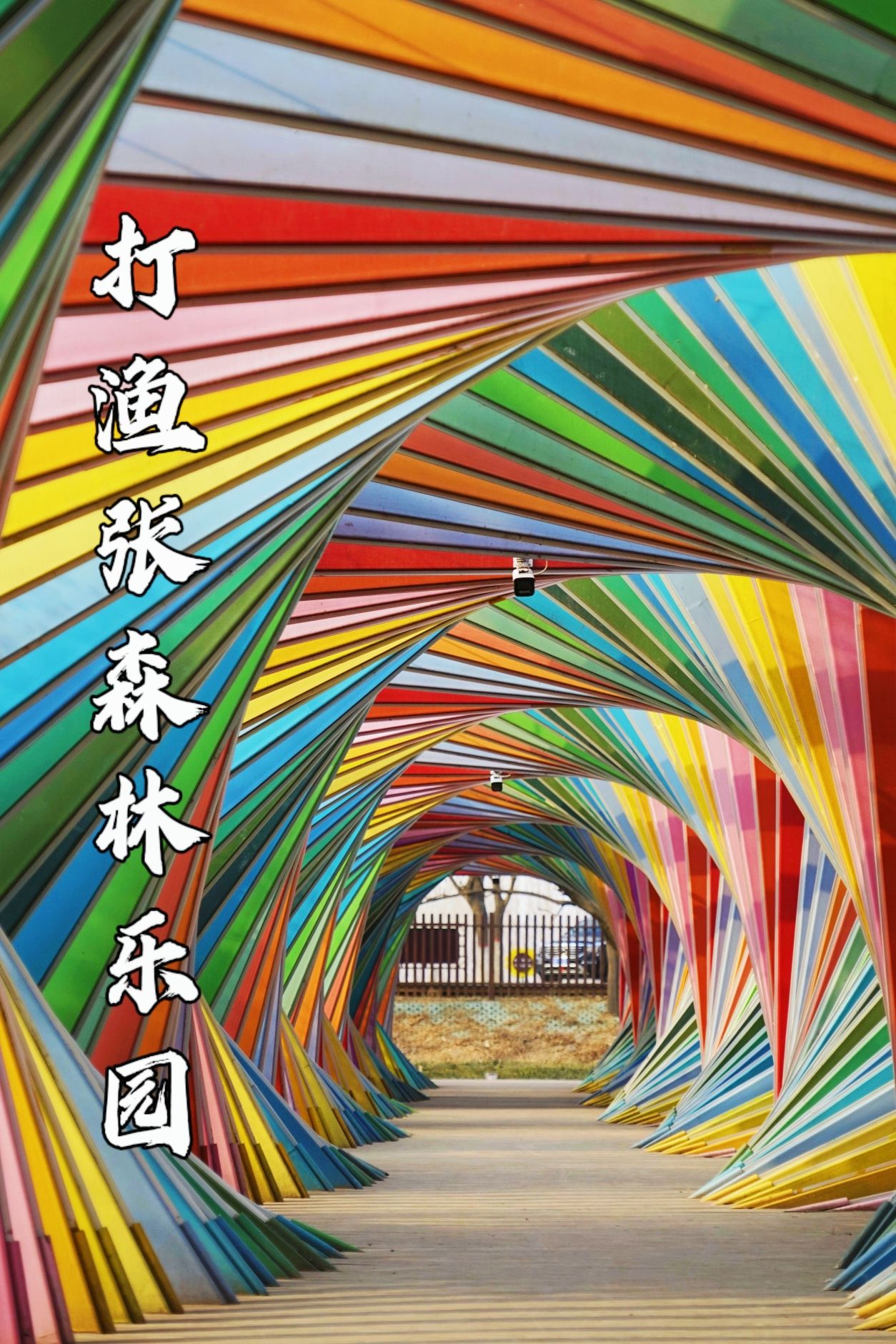 打渔张森林公园旅行图片 1