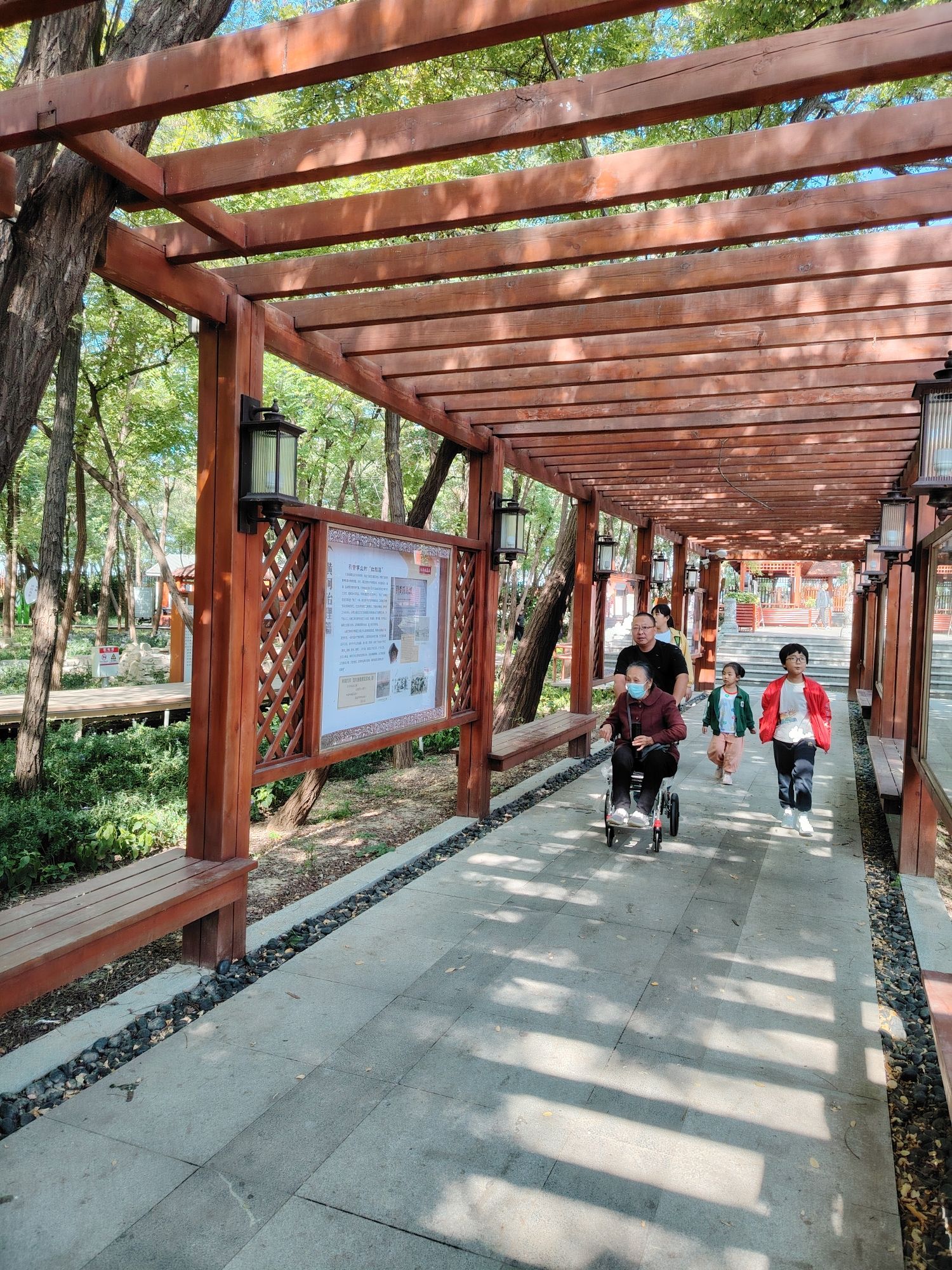 打渔张森林公园旅行图片 3