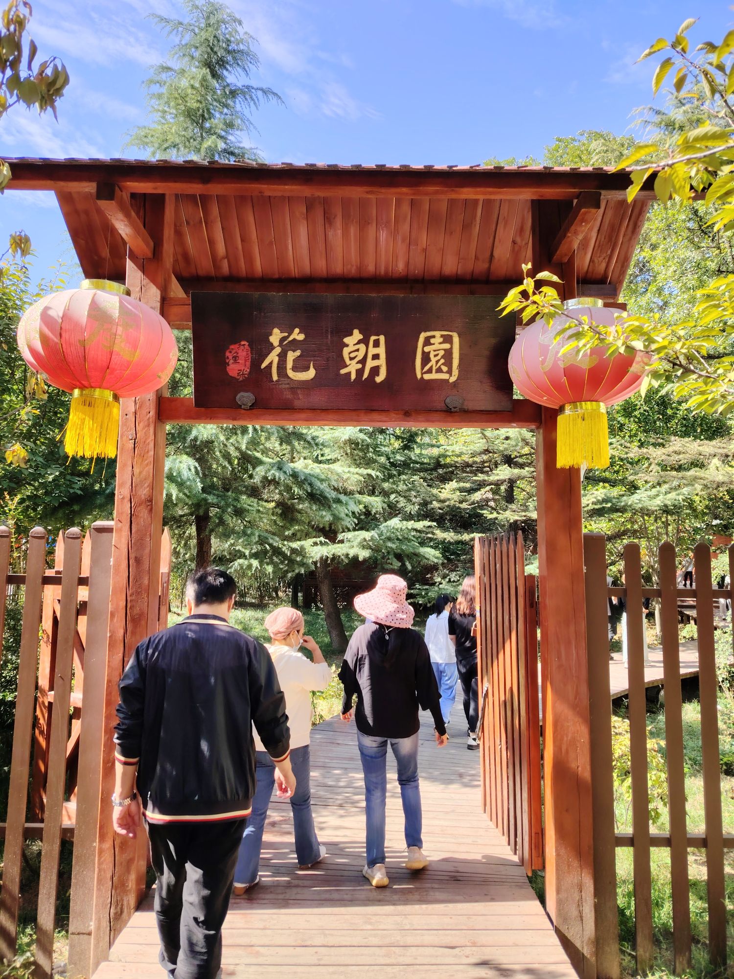 打渔张森林公园旅行图片 1