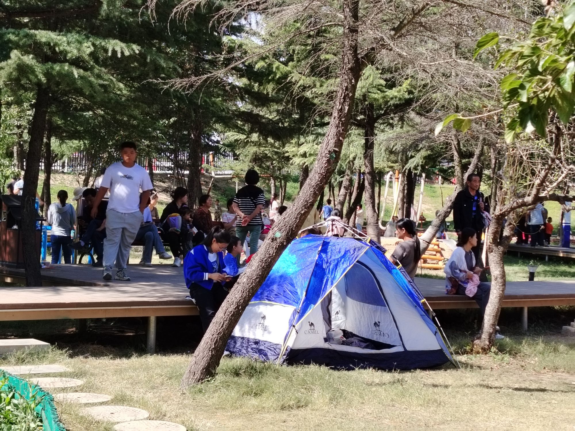 打渔张森林公园旅行图片 2