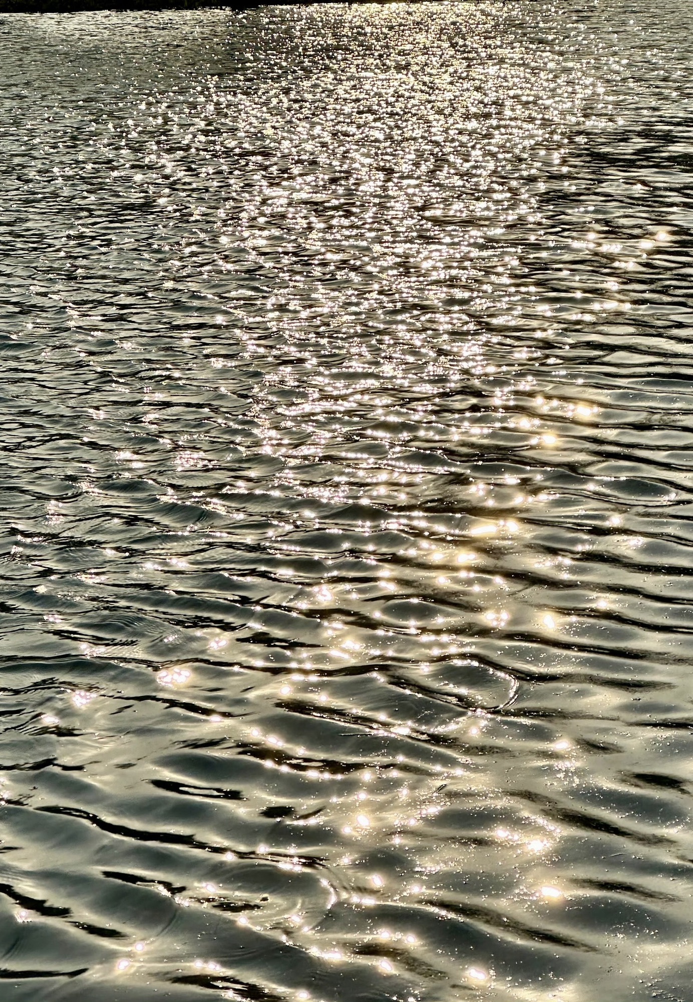 九龙国家湿地公园旅行图片 2