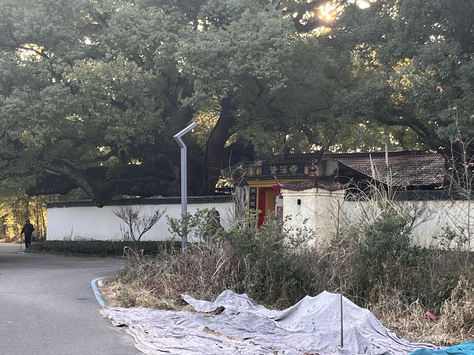 九龙国家湿地公园旅行图片 2