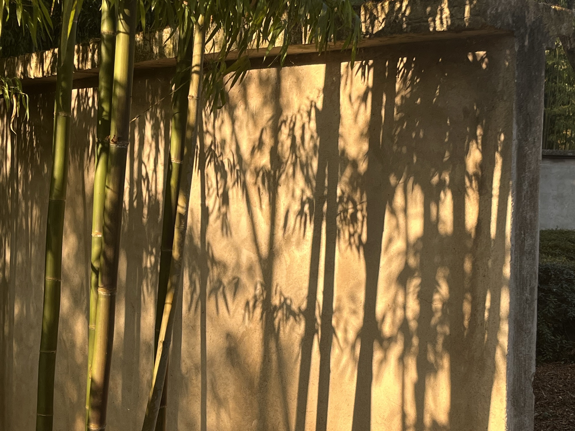 九龙国家湿地公园旅行图片 3