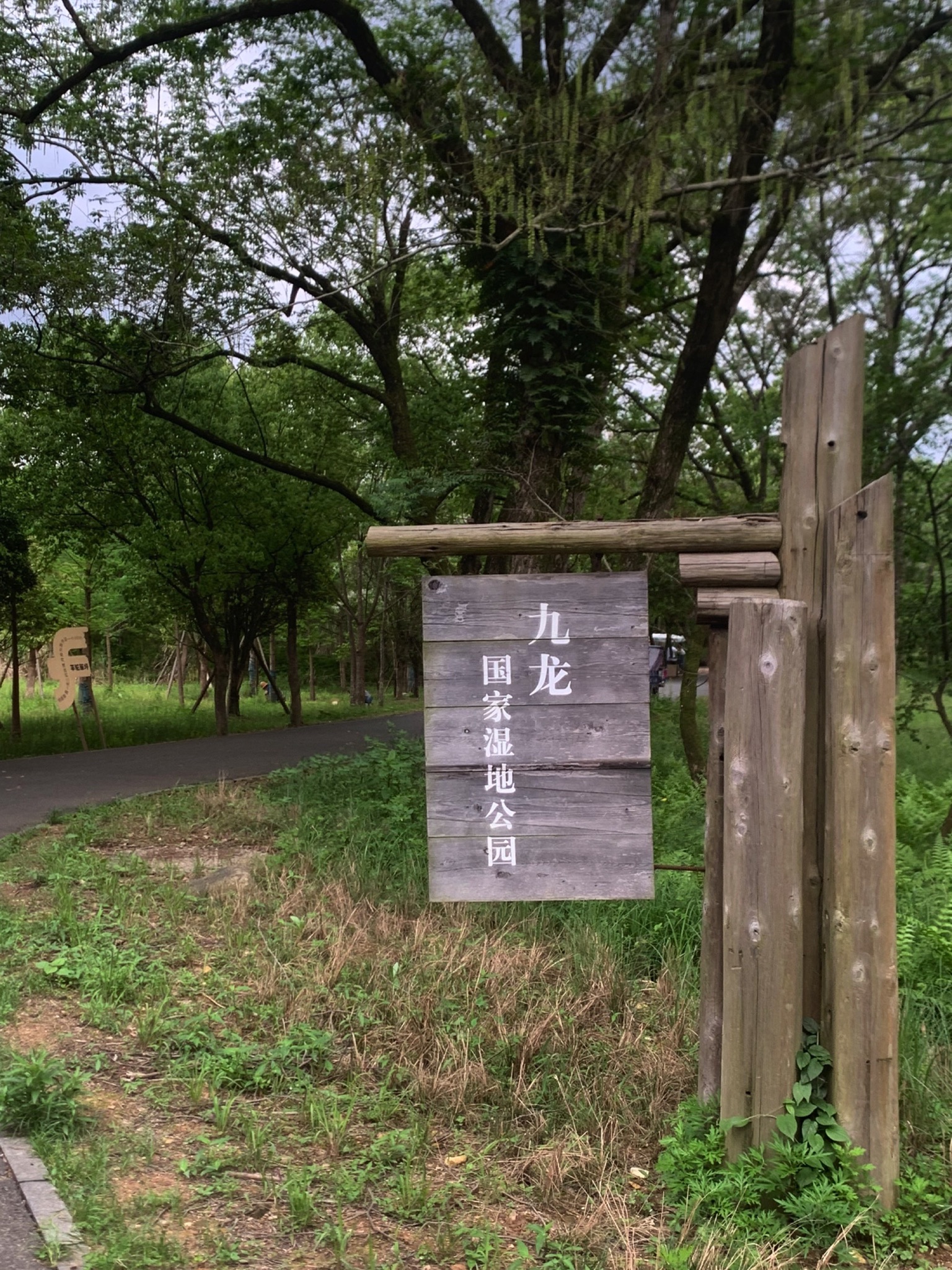 九龙国家湿地公园旅行图片 1