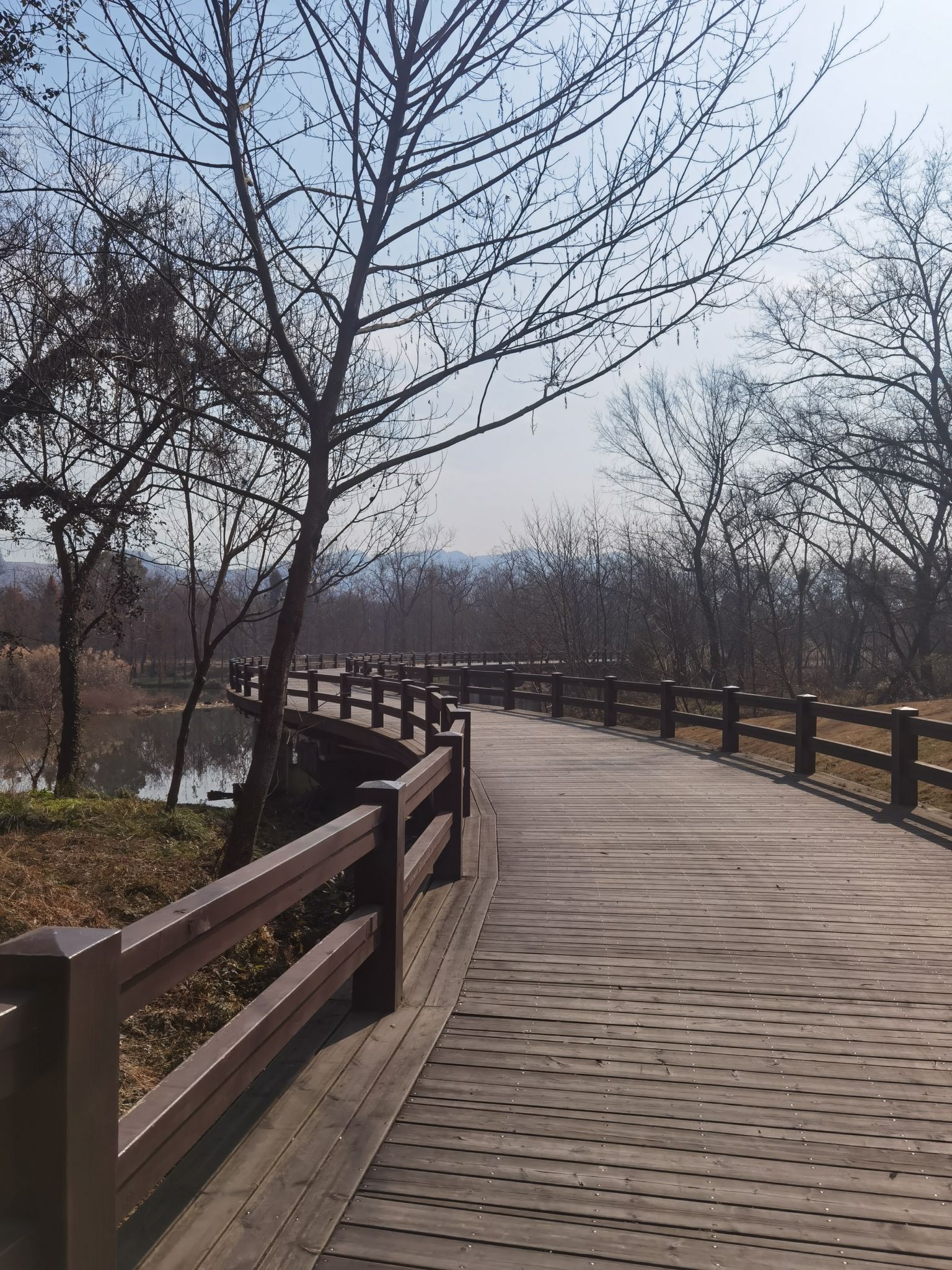 九龙国家湿地公园旅行图片 3