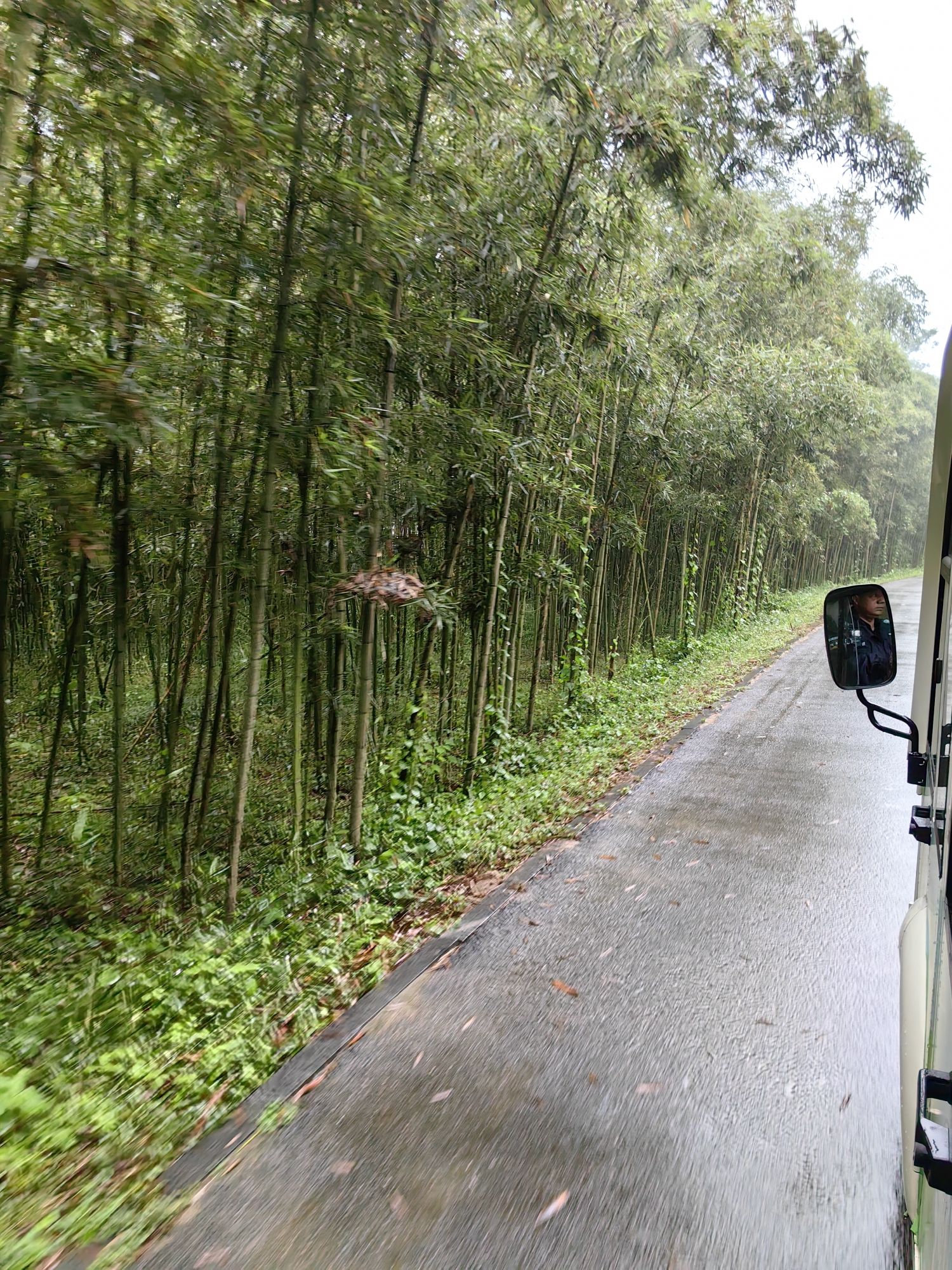 九龙国家湿地公园旅行图片 3