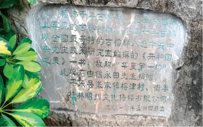 榕津古镇旅行图片 2