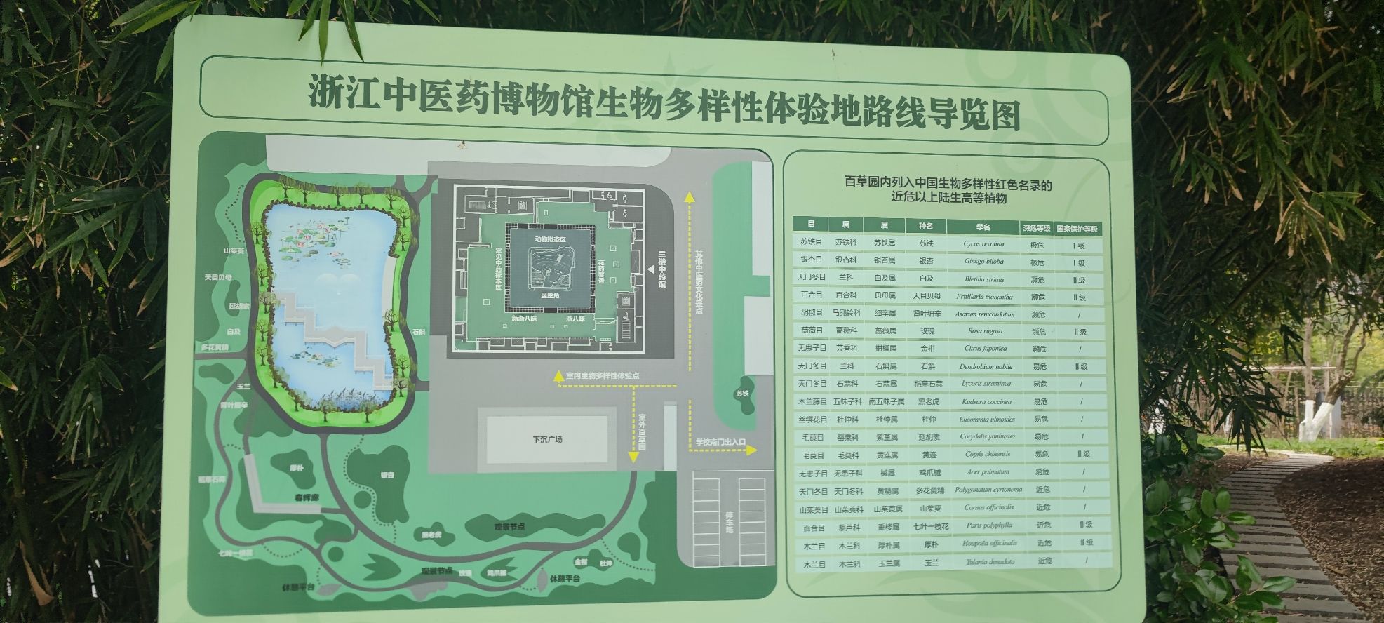 百草园旅行图片 1