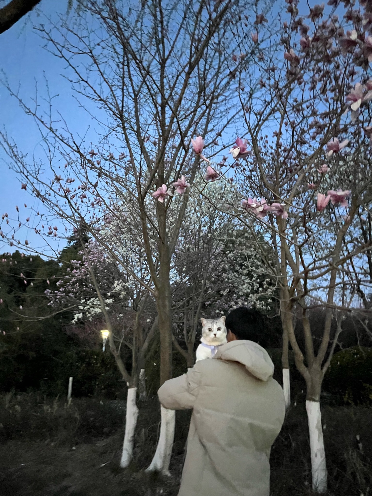 沭阳法治文化公园旅行图片 3
