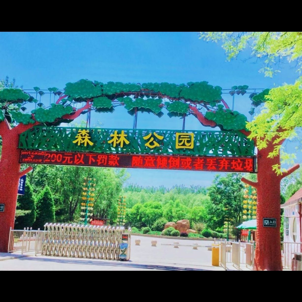 杏花岭东山森林公园旅行图片 1