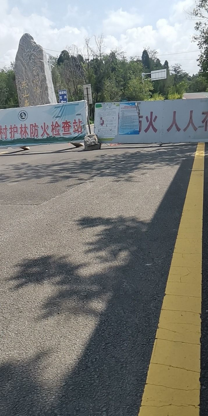 杏花岭东山森林公园旅行图片