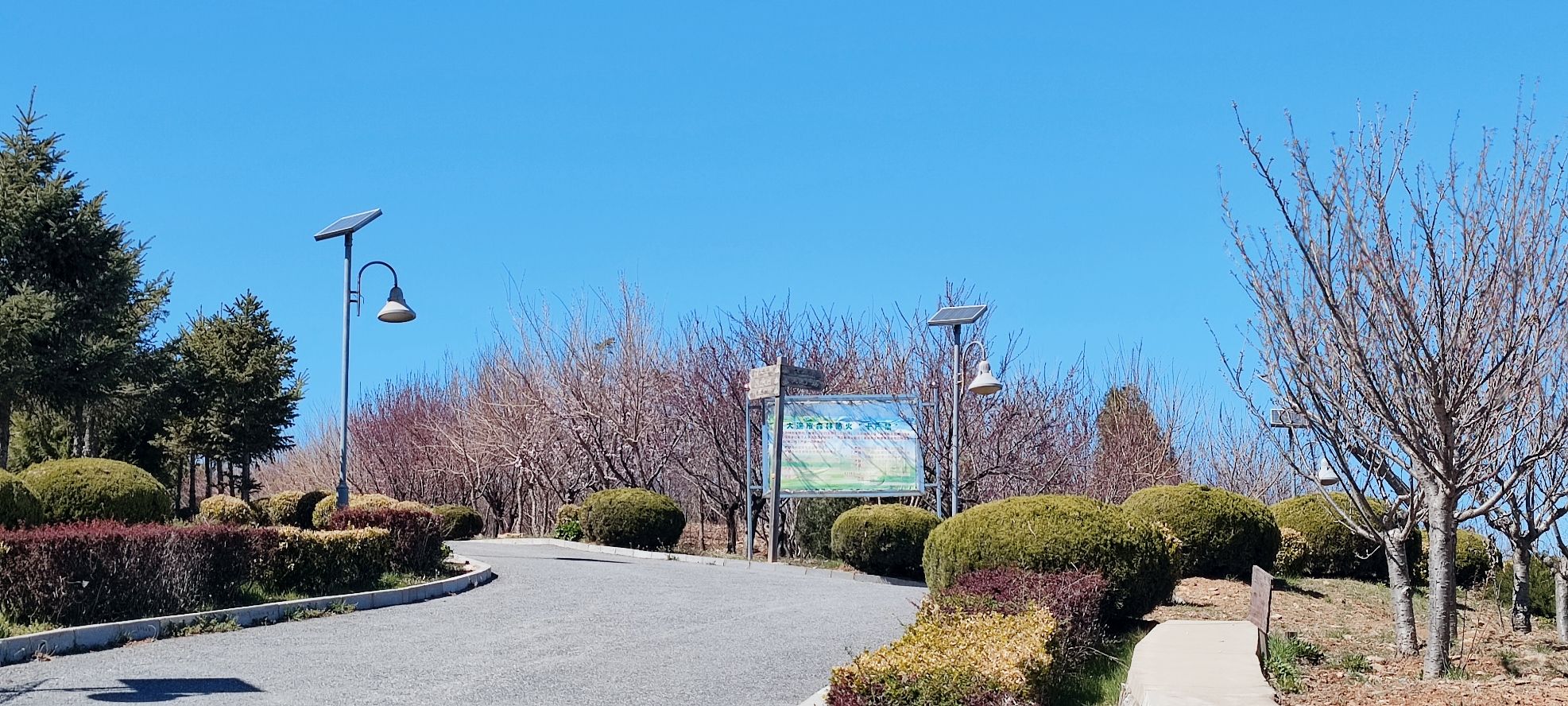仙山公园旅行图片 3