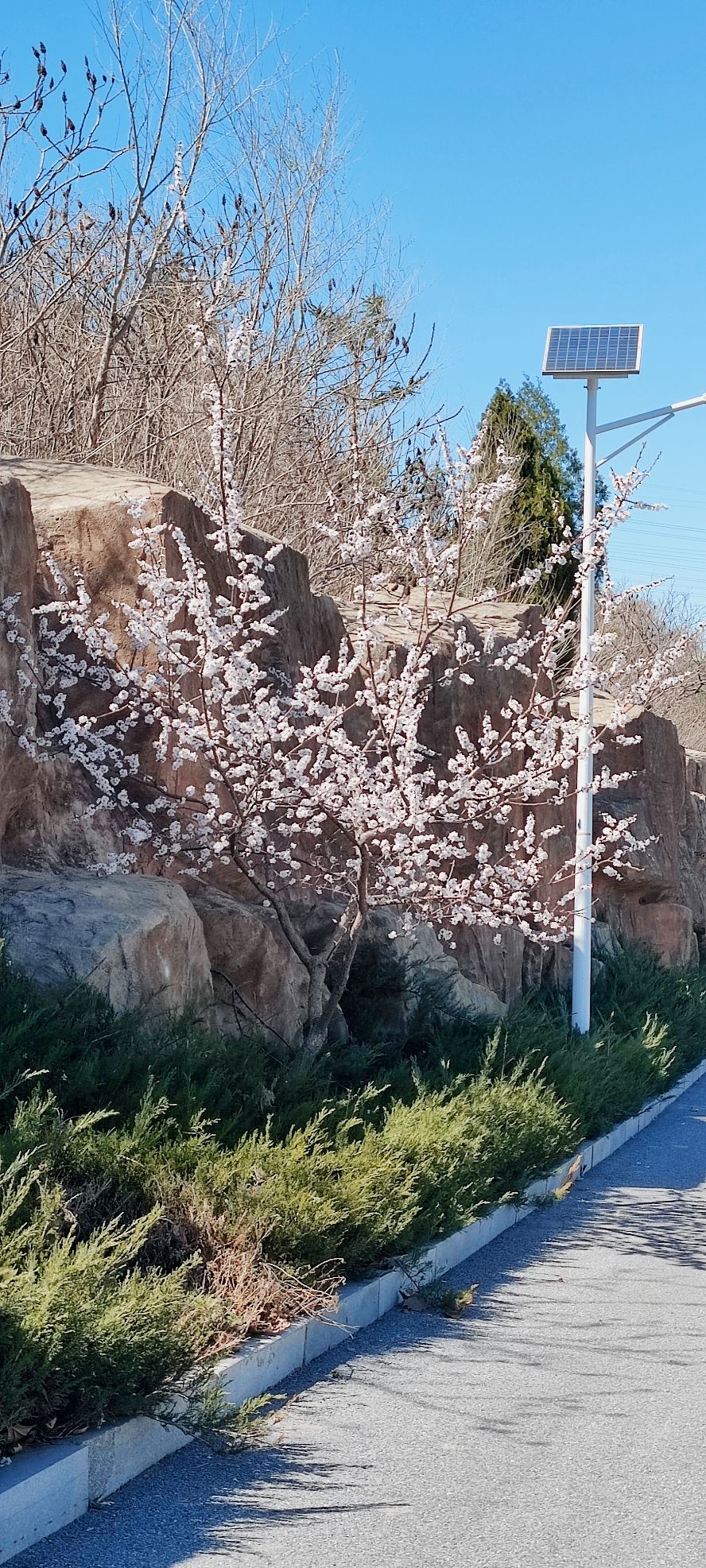 仙山公园旅行图片 1