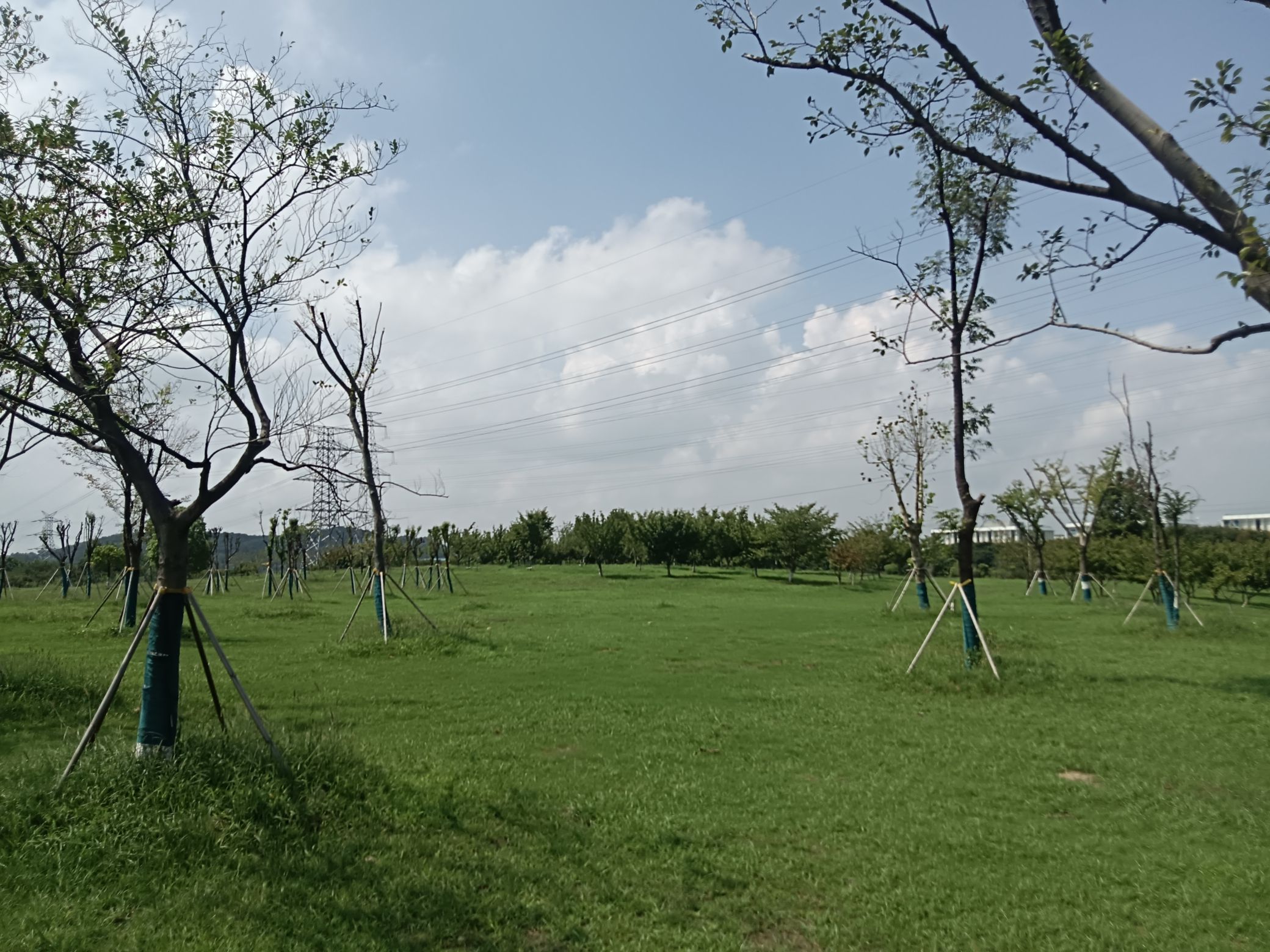 九乡河生态公园旅行图片 2