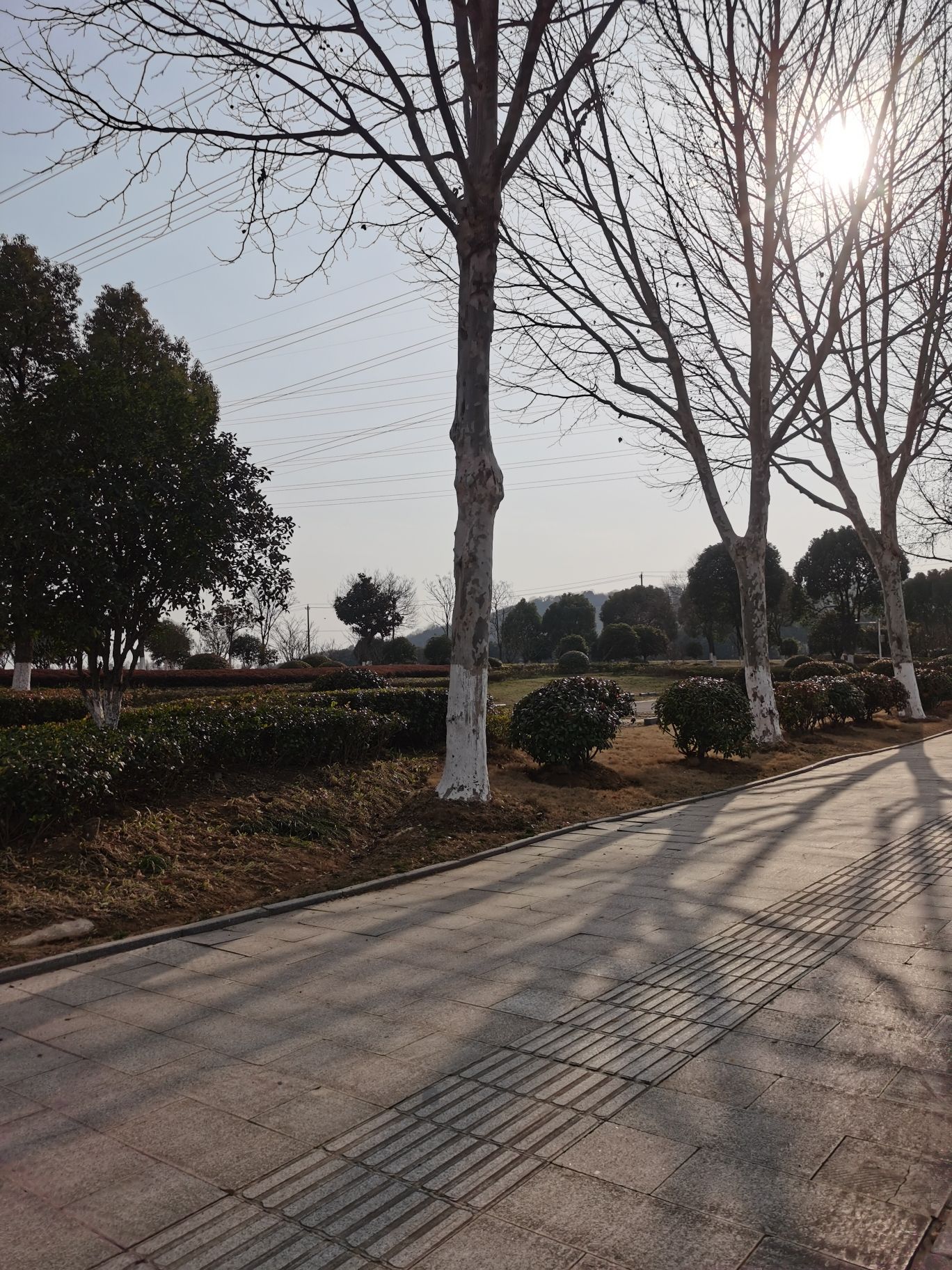 九乡河生态公园旅行图片 1