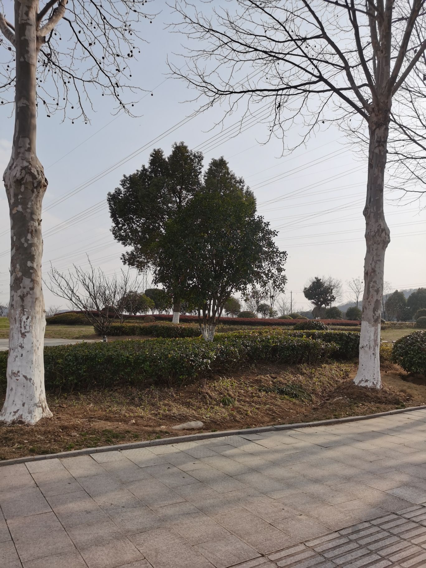 九乡河生态公园旅行图片 2