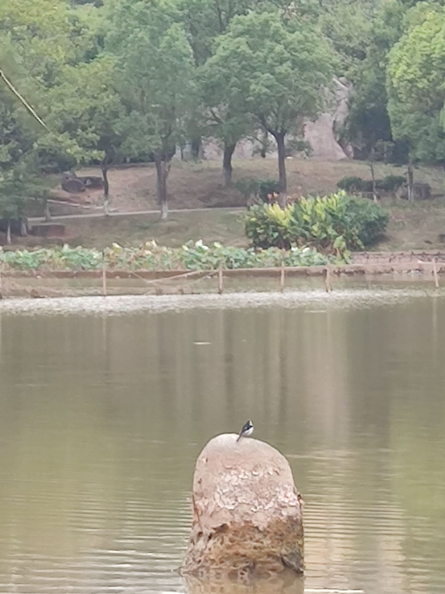 龙山法治文化主题公园旅行图片 2
