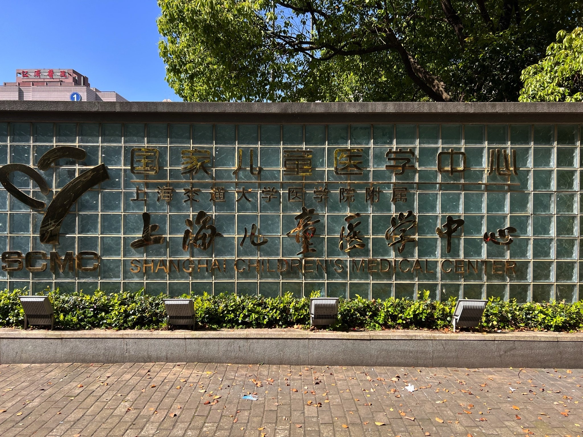 上海交通大学医学院附属上海儿童医学中心(陆家嘴院区)