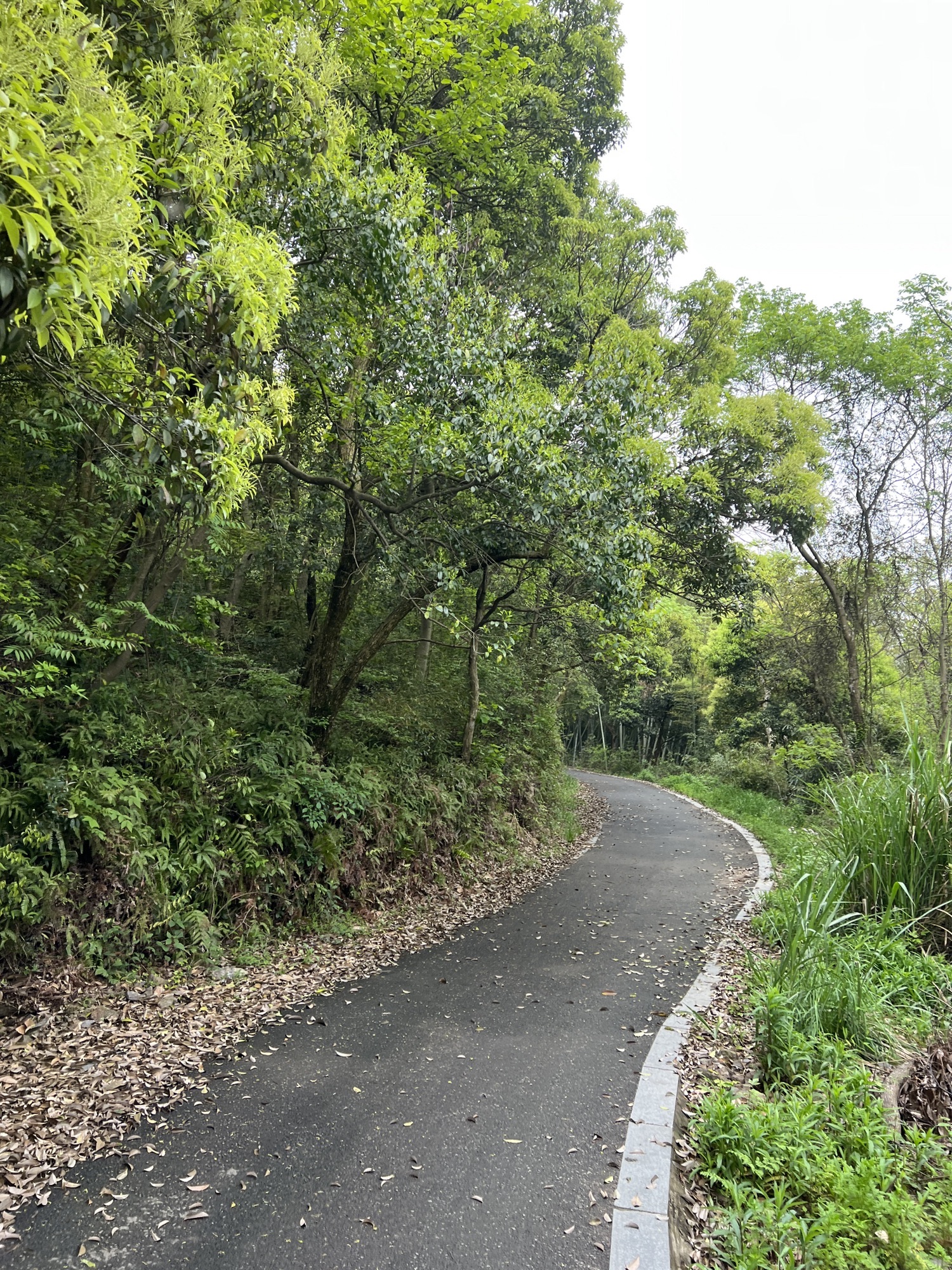 北山游步道旅行图片 1
