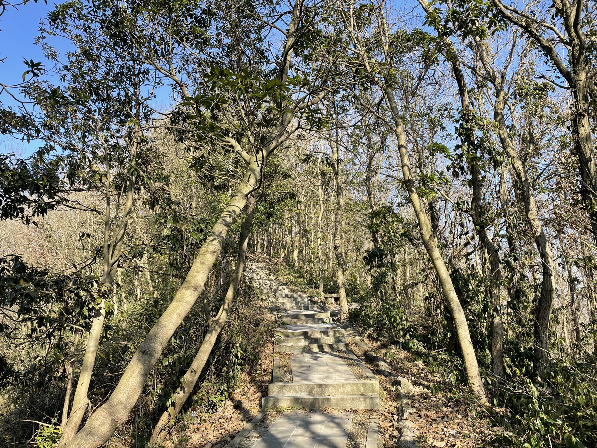 北山游步道旅行图片 1