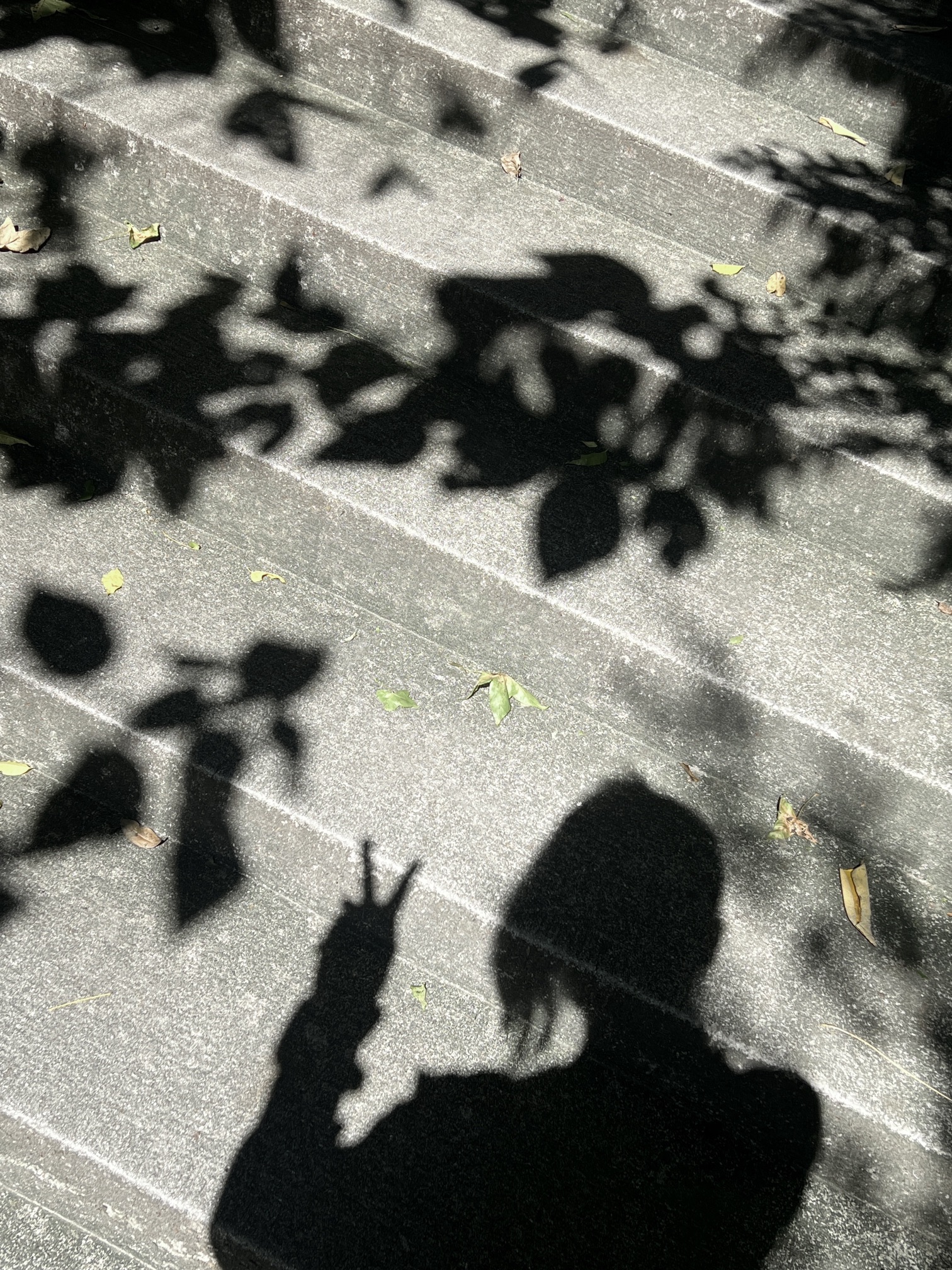 北山游步道旅行图片 3