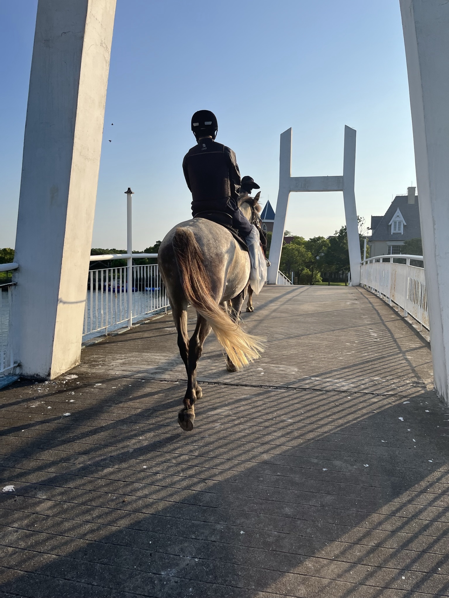 场地封面-横沙惊帆马场