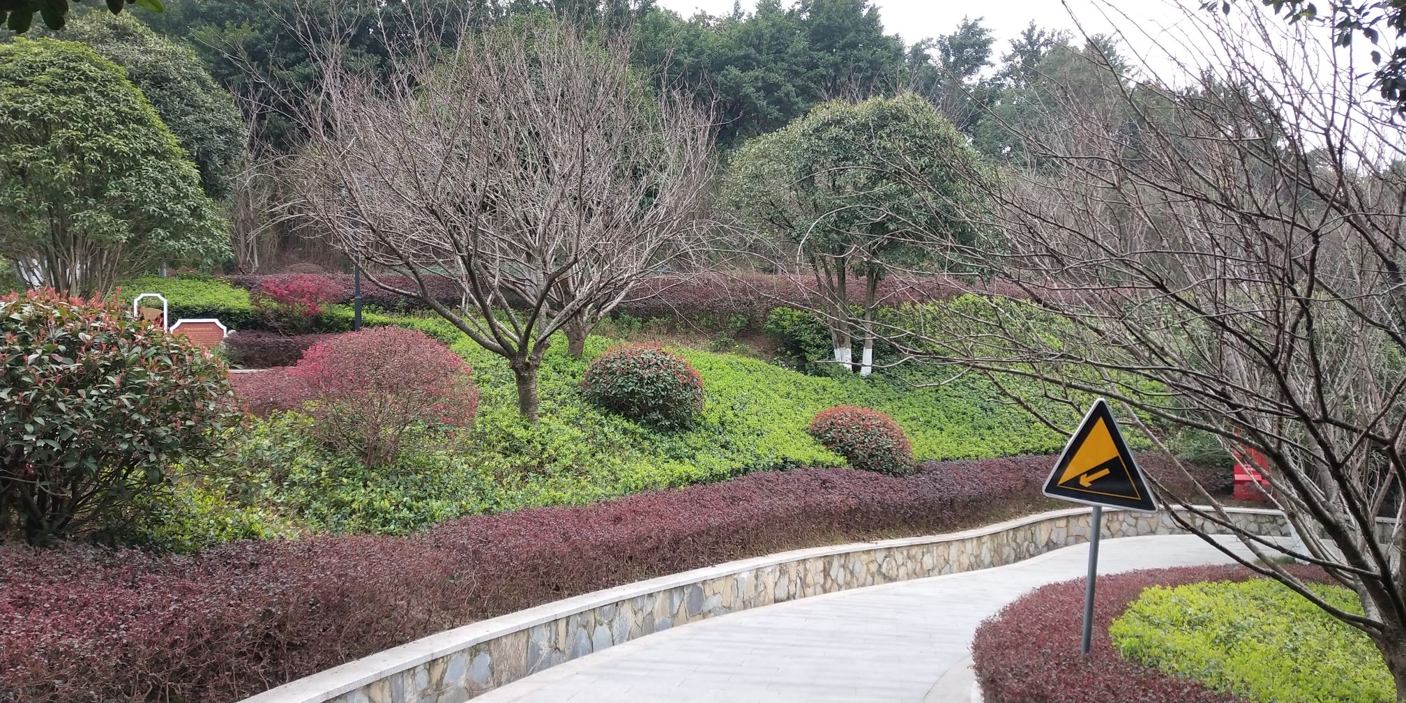 龙洲湾公园旅行图片 1