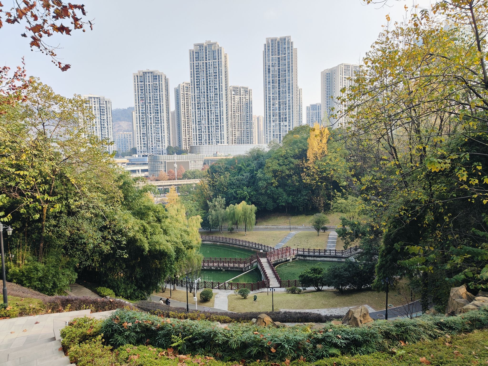 龙洲湾公园旅行图片 2