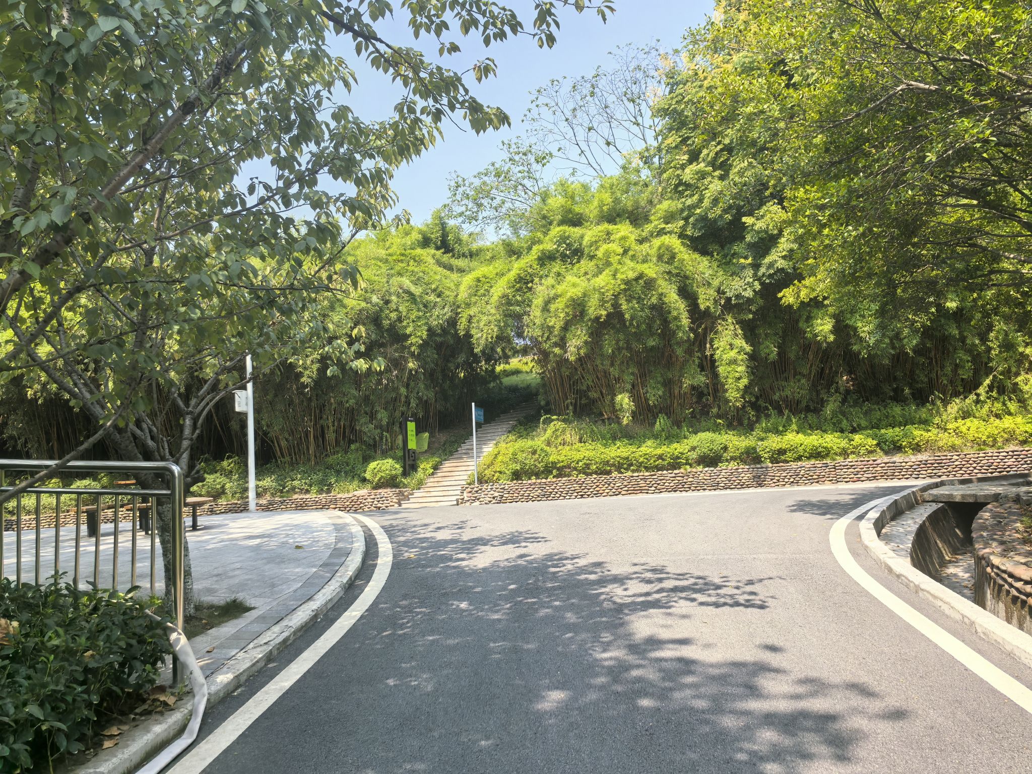 龙洲湾公园旅行图片 2