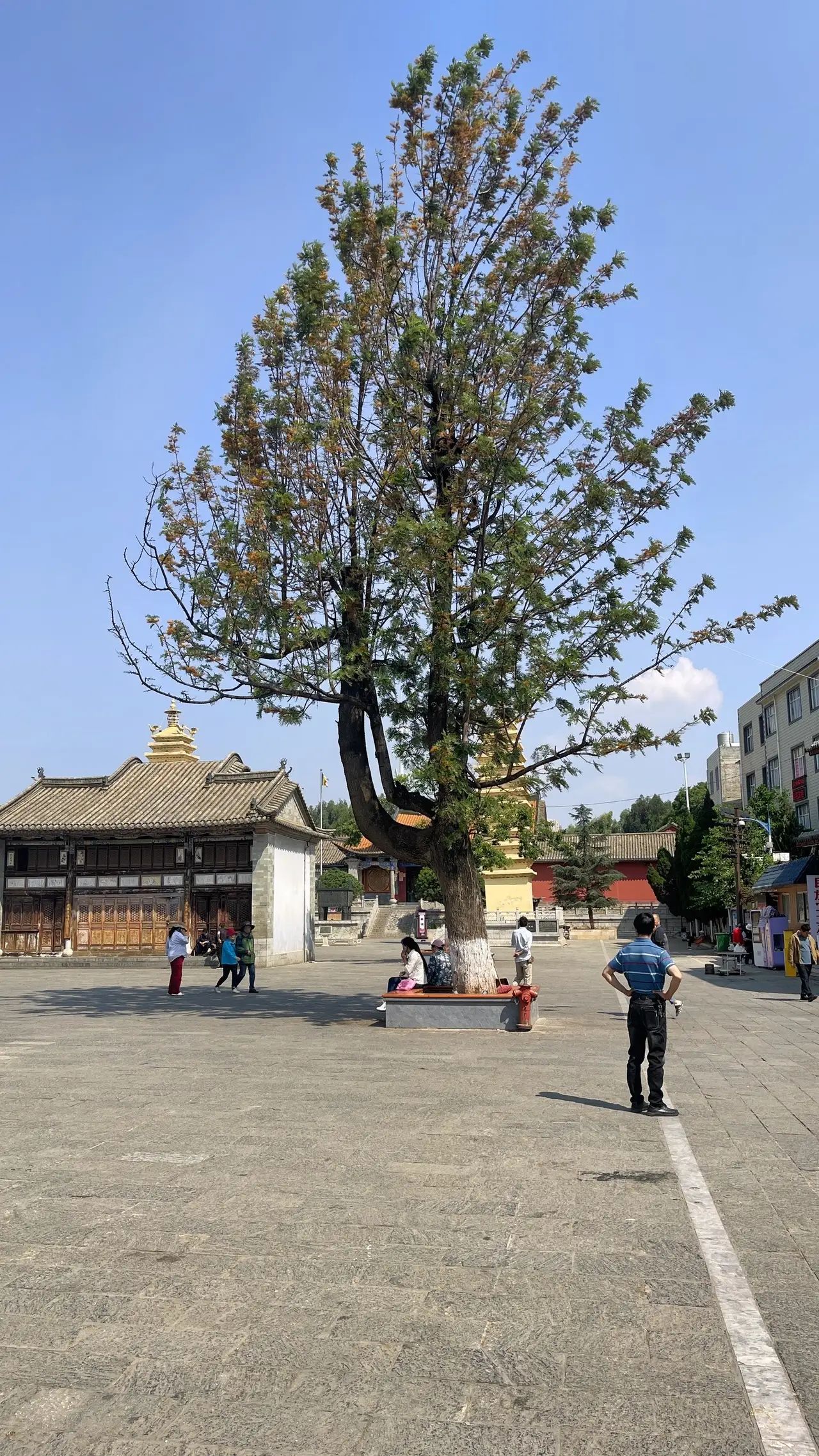 百侯名镇旅游区旅行图片 2
