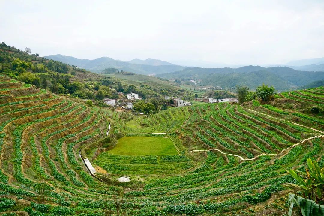 坪山梯田旅游区旅行图片 2