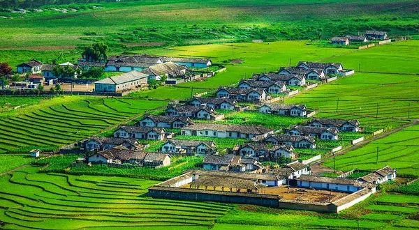 坪山梯田旅游区旅行图片 3