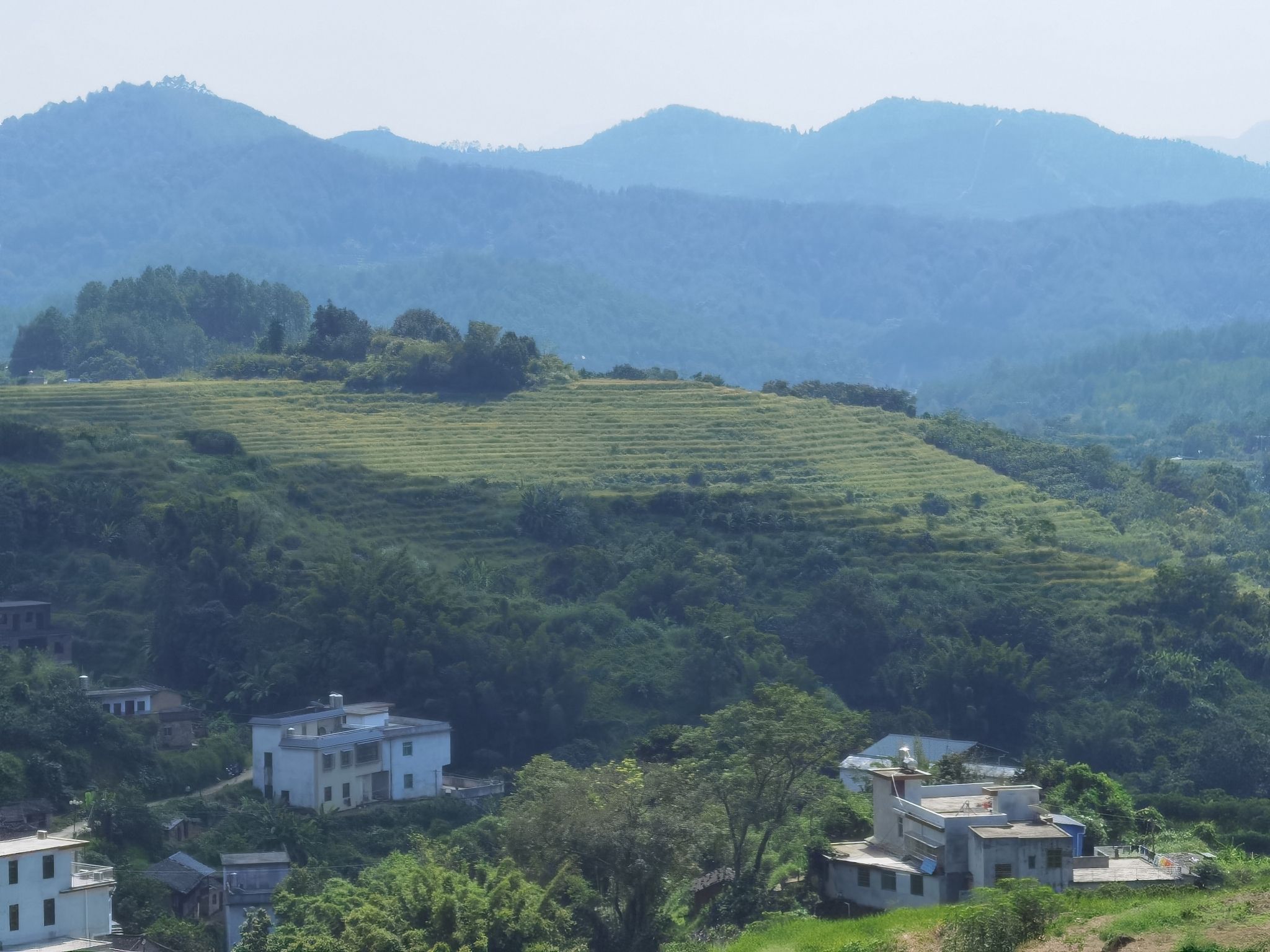 坪山梯田旅游区旅行图片 2